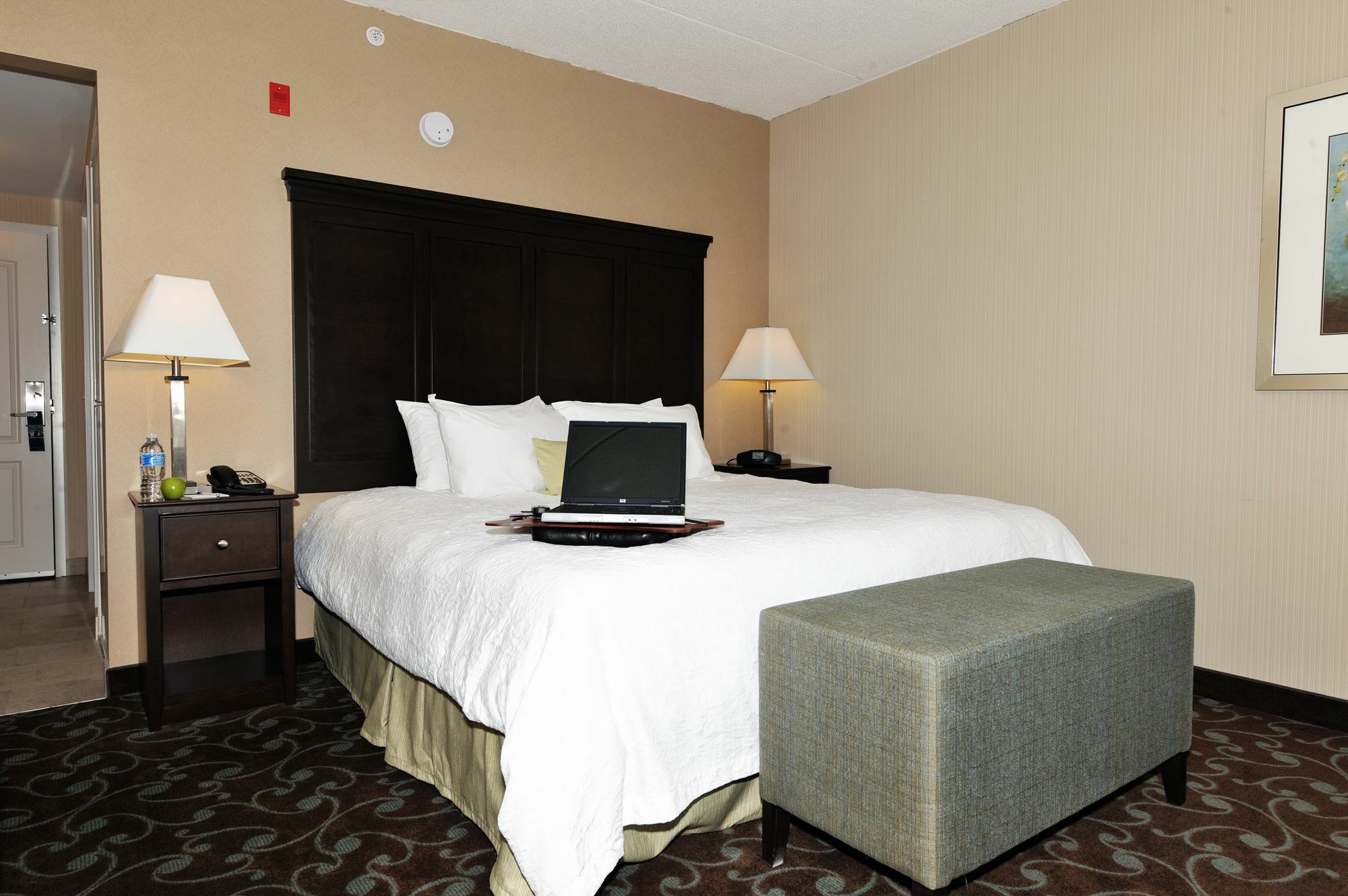 Hampton Inn & Suites By Hilton Brantford Bilik gambar